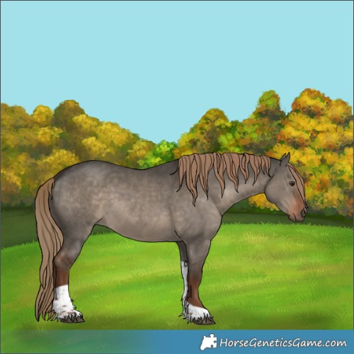 Horse Color:Liver Red Dun Tobiano Rabicano 