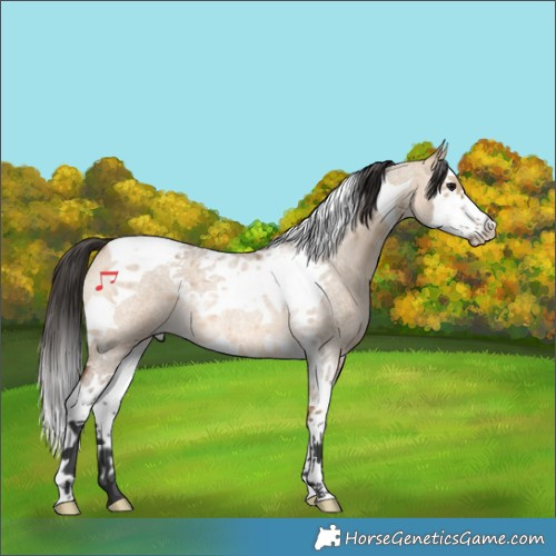 Horse Color:Bay Roan Dun Splash Tobiano Rabicano 