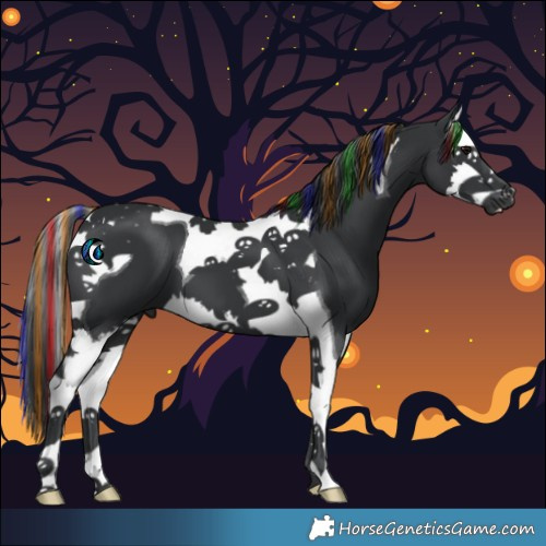 Horse Color:Painted Black Splash Tobiano 