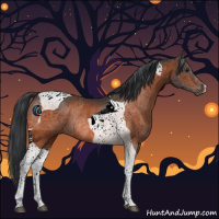 Horse Color:Brown Tobiano Rabicano 