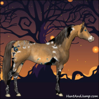 Horse Color:Buckskin Tobiano Frame Rabicano 