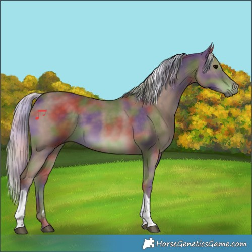 Horse Color:Nacre Silver Black Tobiano 