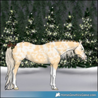Horse Color:Gold Cream Champagne Ice Splash Tobiano