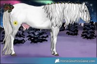 Horse Color:Gray Silver Brown Tobiano 