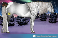 Horse Color:Gray Silver Brown Tobiano