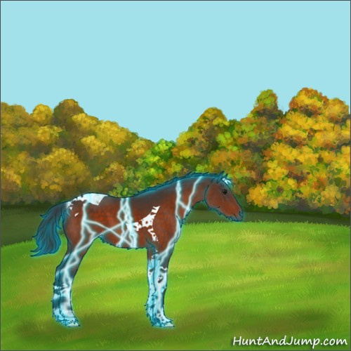 Horse Color:Thunderstruck Brown Tobiano 