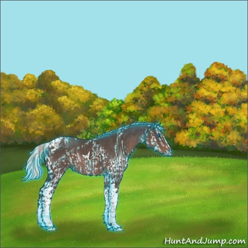 Horse Color:Thunderstruck Silver Blue Roan Splash  and Silver Black Tobiano Rabicano 