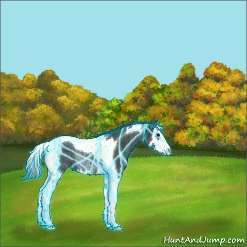 Horse Color:Thunderstruck Blue Roan Splash Tobiano Rabicano 