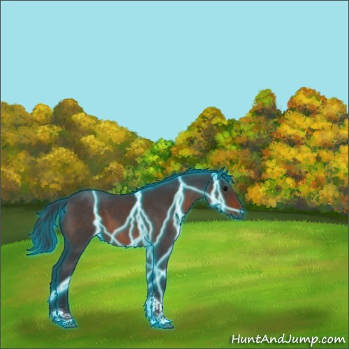 Horse Color:Thunderstruck Brown Roan Tobiano Rabicano 