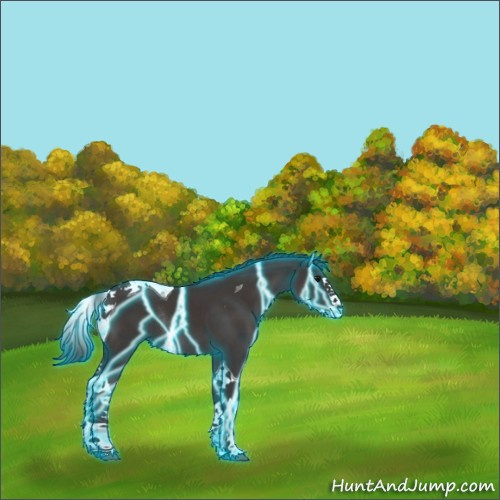 Horse Color:Thunderstruck Smoky Black Splash Tobiano Rabicano 