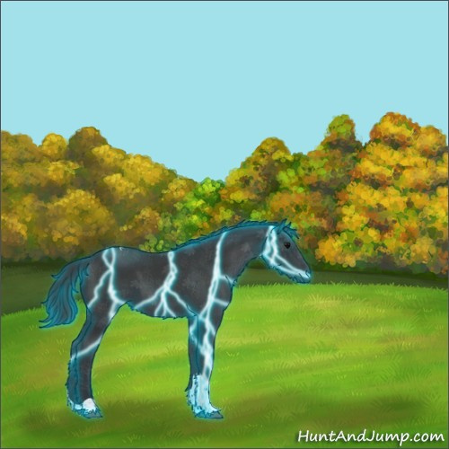 Horse Color:Thunderstruck Black Tobiano 