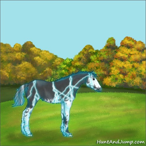 Horse Color:Thunderstruck Blue Roan Splash 