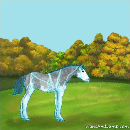 Horse Color:Thunderstruck Blue Roan Splash Rabicano 