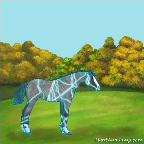Horse Color:Thunderstruck Blue Roan Splash Rabicano 