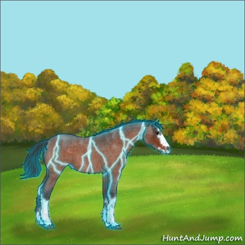 Horse Color:Thunderstruck White Spotted Brown Roan Splash 