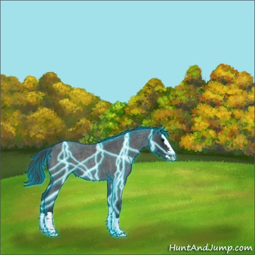 Horse Color:Thunderstruck Blue Roan Splash Rabicano 