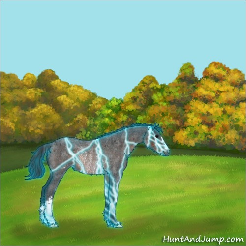 Horse Color:Thunderstruck Brown Roan Rabicano 
