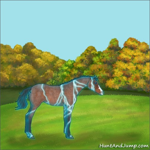 Horse Color:Thunderstruck Brown Roan Splash 