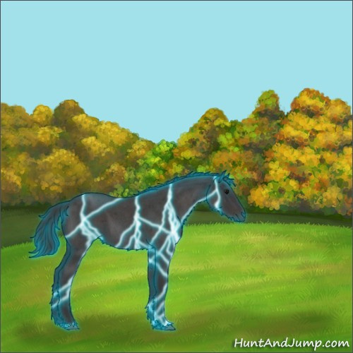 Horse Color:Thunderstruck Smoky Blue Roan Rabicano 