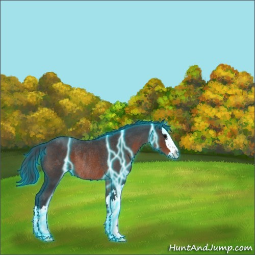 Horse Color:Thunderstruck Brown Roan Splash Rabicano 