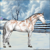 Horse Color:Bay Sabino 