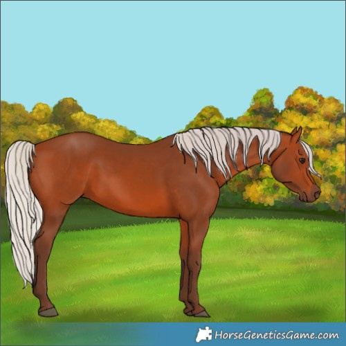 Horse Color:Silver Bay