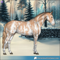 Horse Color:Chestnut Sabino
