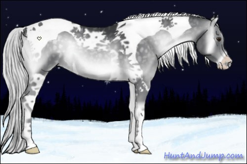 Horse Color:Silver Blue Onyx Chinchilla Tobiano 