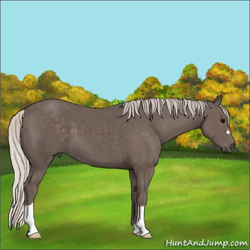 Horse Color:Silver Black 