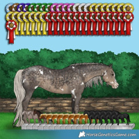 Horse Color:White Spotted Silver Smoky Black Splash Appaloosa 