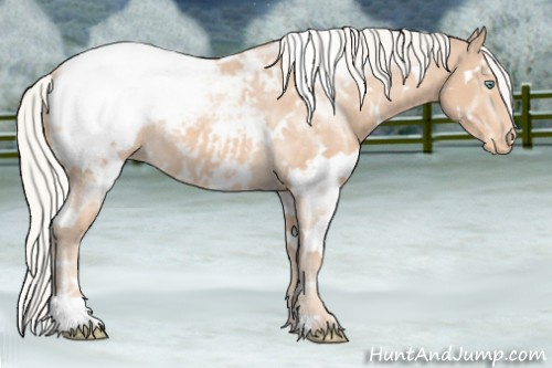 Horse Color:White Spotted Silver Perlino Appaloosa 