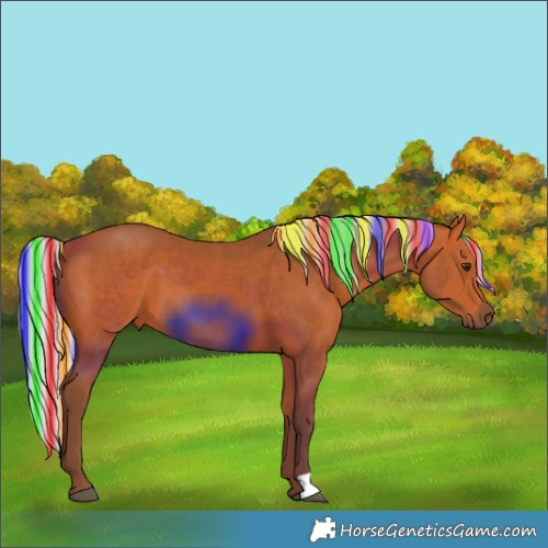 Horse Color:Painted Silver Bay 