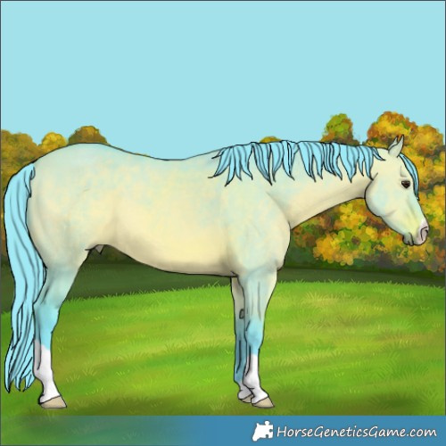 Horse Color:Watercolor Bay Dun 
