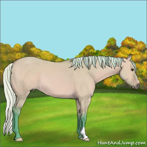Horse Color:Watercolor Silver Bay Dun 
