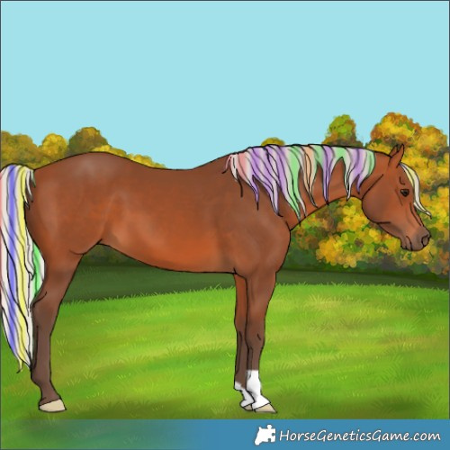 Horse Color:Painted Silver Bay 