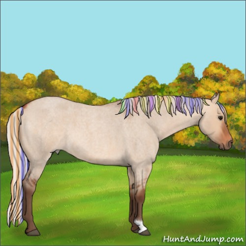Horse Color:Painted Silver Bay Roan Dun 