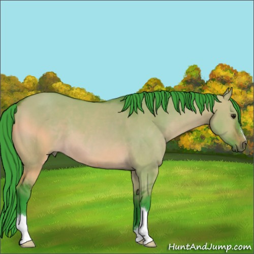 Horse Color:Watercolor Brown Dun 