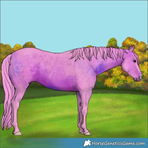 Horse Color:Watercolor Brown 