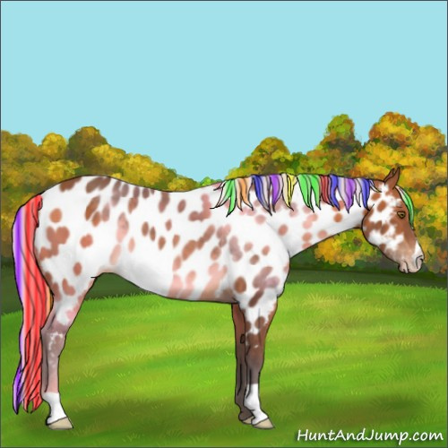 Horse Color:Painted Silver Brown Appaloosa 