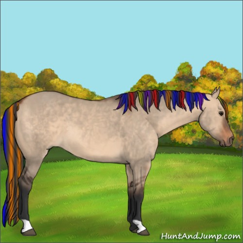 Horse Color:Painted Bay Dun 