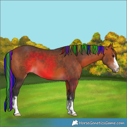 Horse Color:Painted Bay 
