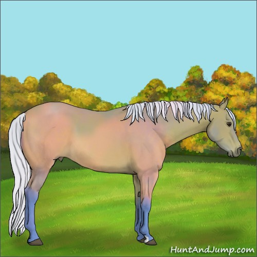 Horse Color:Watercolor Silver Bay