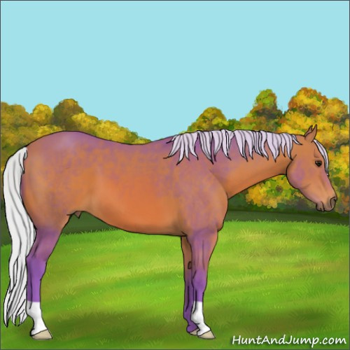 Horse Color:Watercolor Silver Bay