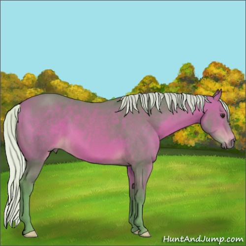 Horse Color:Watercolor Silver Bay
