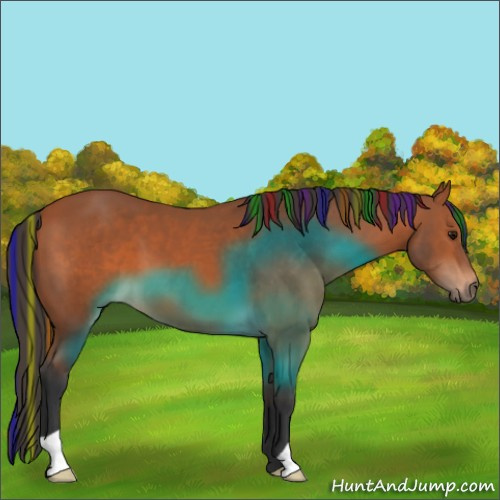 Horse Color:Painted Bay 