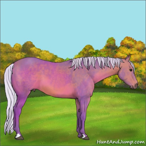 Horse Color:Watercolor Silver Bay 