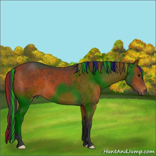 Horse Color:Painted Bay 