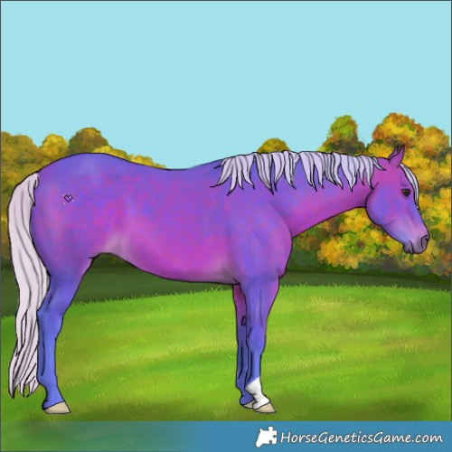 Horse Color:Watercolor Silver Bay 