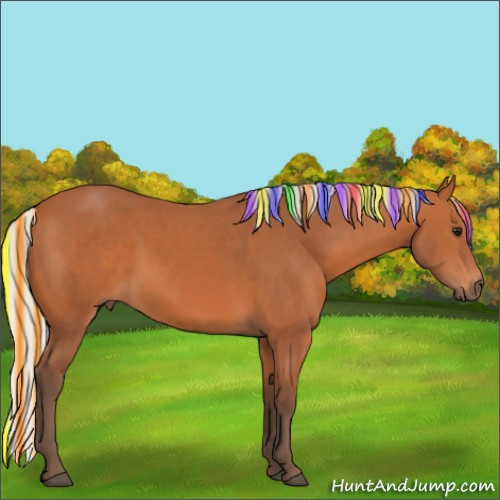 Horse Color:Painted Silver Bay 