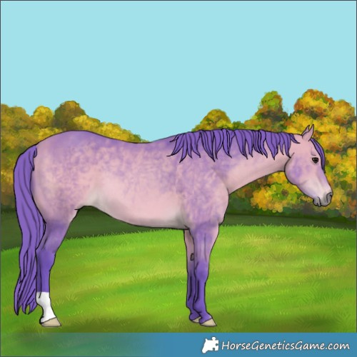 Horse Color:Watercolor Bay